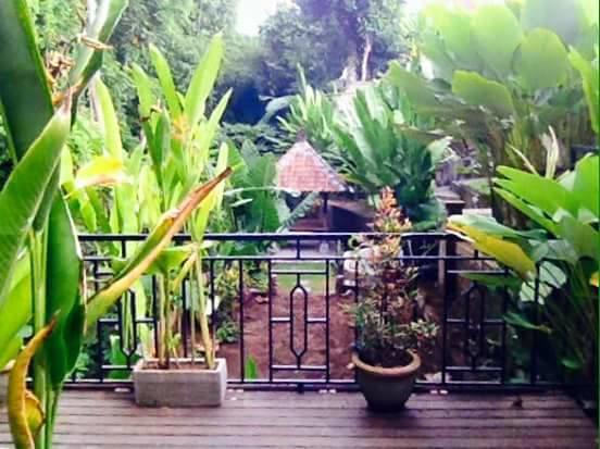 Kerta Family Bed And Breakfast 우붓 외부 사진